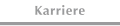 Karriere